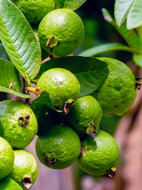 goh-rhy-yan-PyBocTfwLj0-unsplash