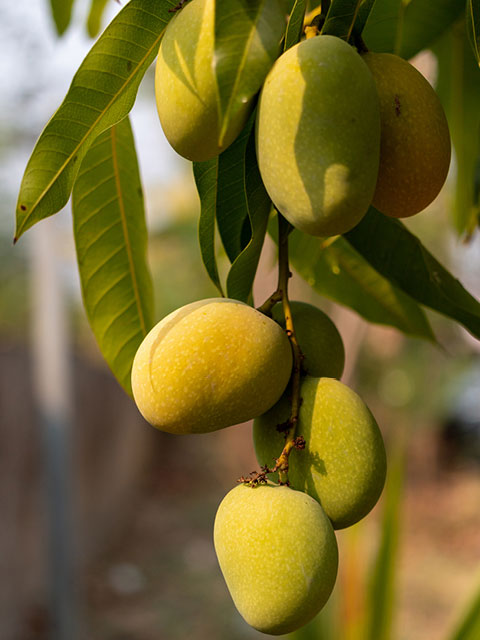 skull-kat-M7fi58_dF5k-unsplash