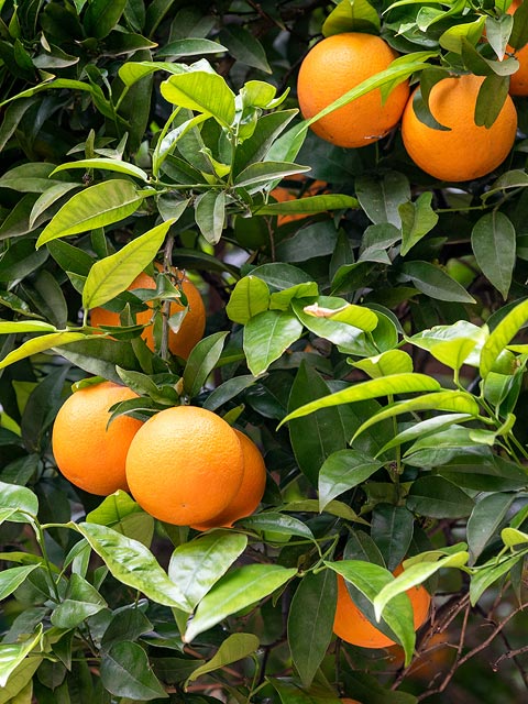 christian-holzinger-sveHkwrWNWg-unsplash